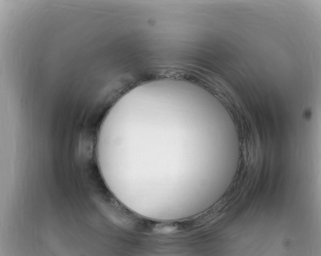 X0000092230602200709140943