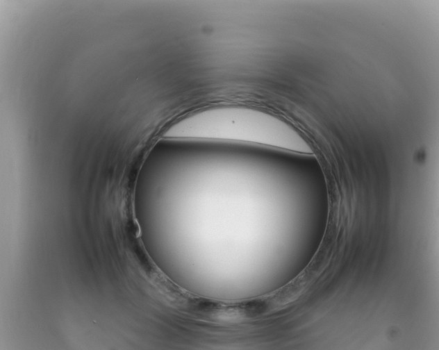 X0000092230604200709140943