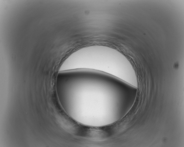X0000092230605200709140943