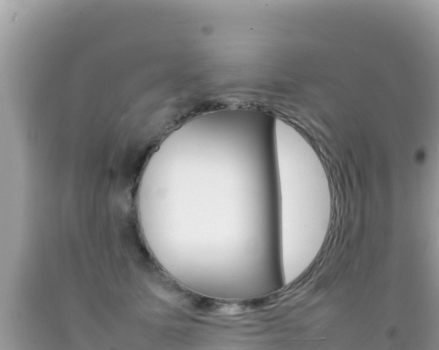 X0000092230611200709140943