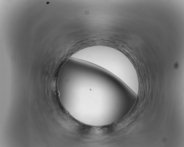 X0000092230613200709140943