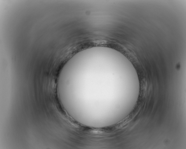 X0000092230614200709140943