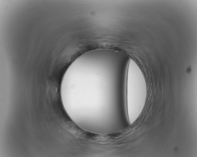 X0000092230615200709140943