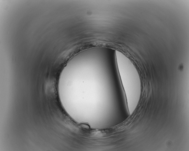 X0000092230616200709140943