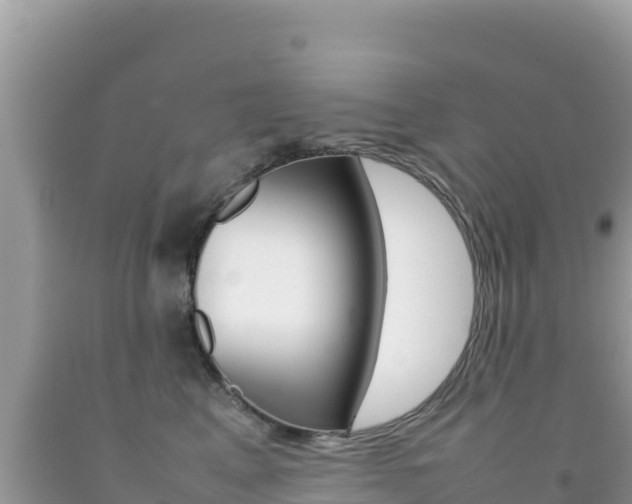 X0000092230617200709140943
