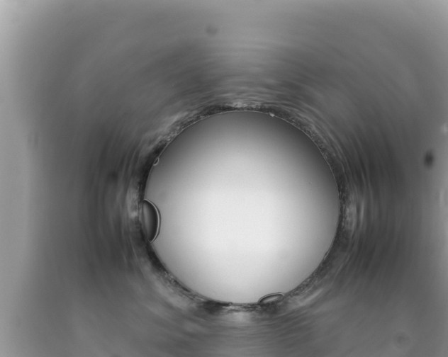 X0000092230620200709140943