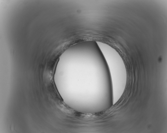 X0000092230621200709140943