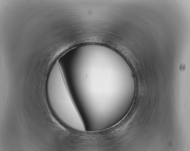 X0000092230625200709140942