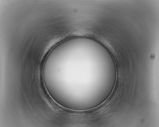 X0000092230626200709140942