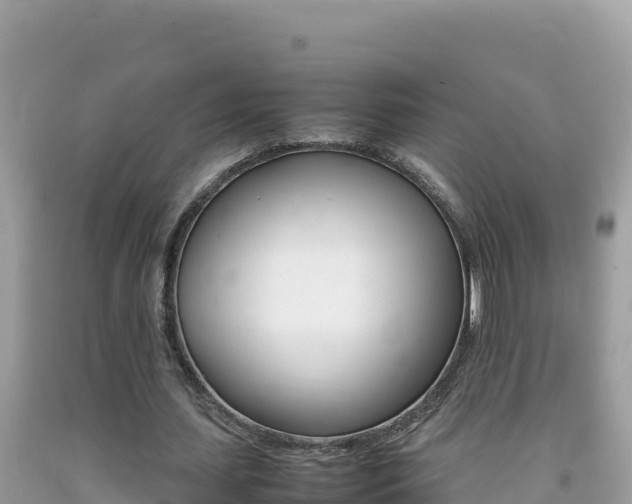 X0000092230627200709140942