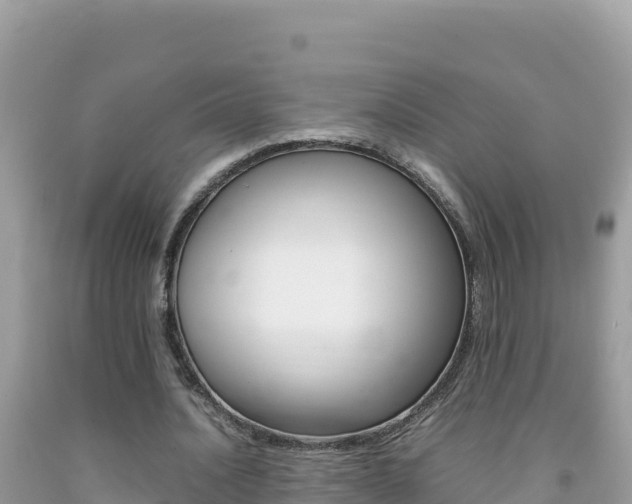 X0000092230628200709140942
