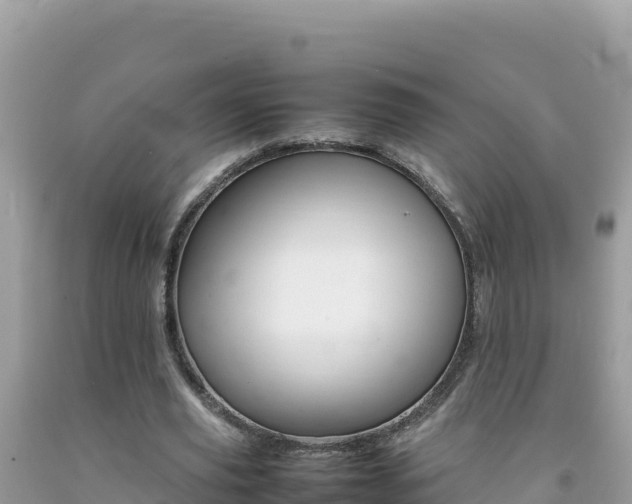 X0000092230629200709140942