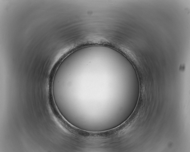 X0000092230630200709140942