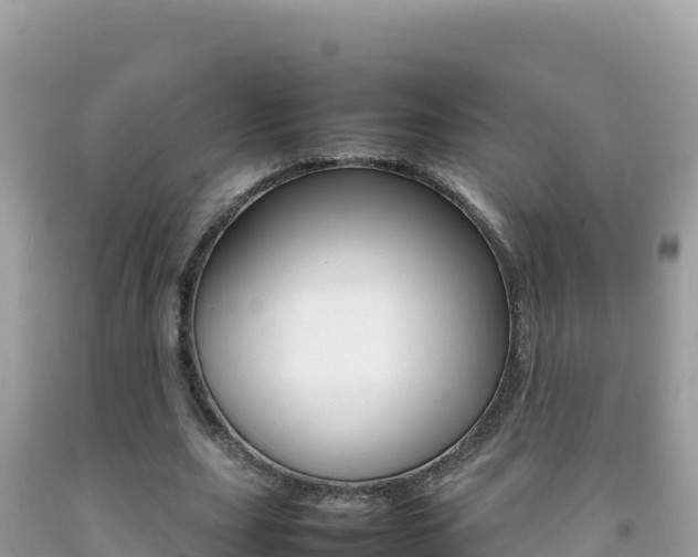 X0000092230631200709140942