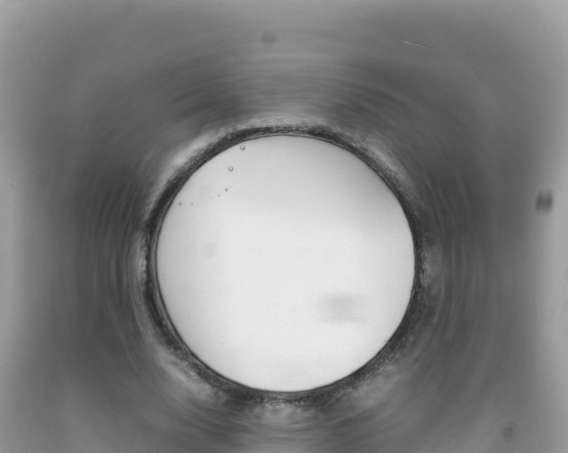 X0000092230632200709140942