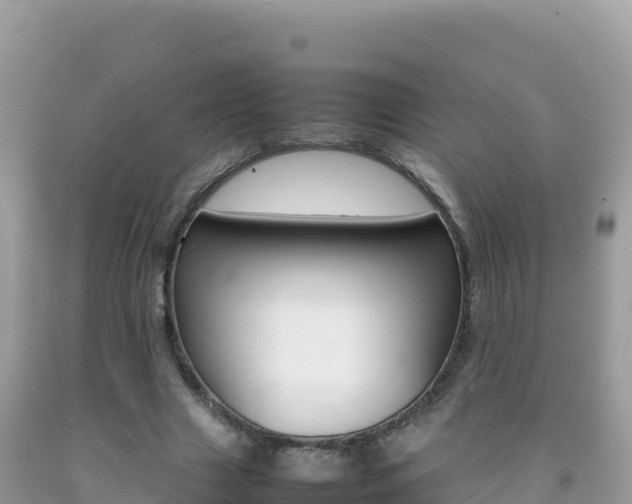 X0000092230633200709140942