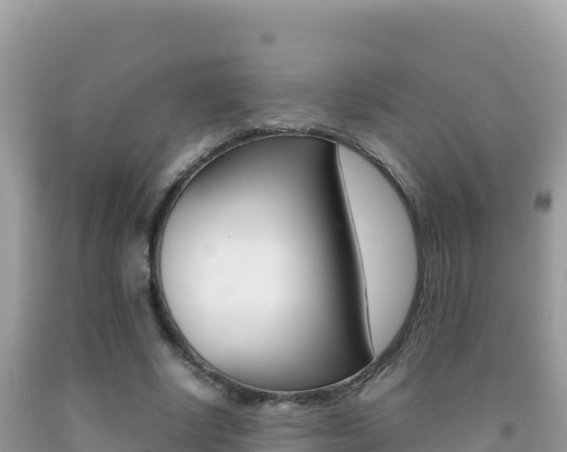 X0000092230634200709140942
