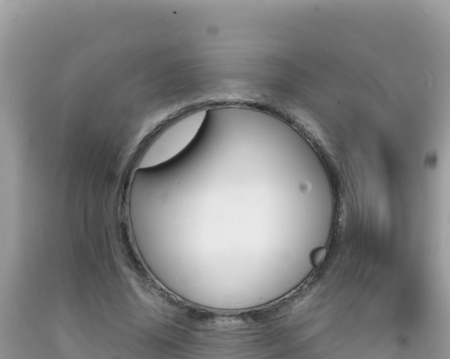 X0000092230636200709140942
