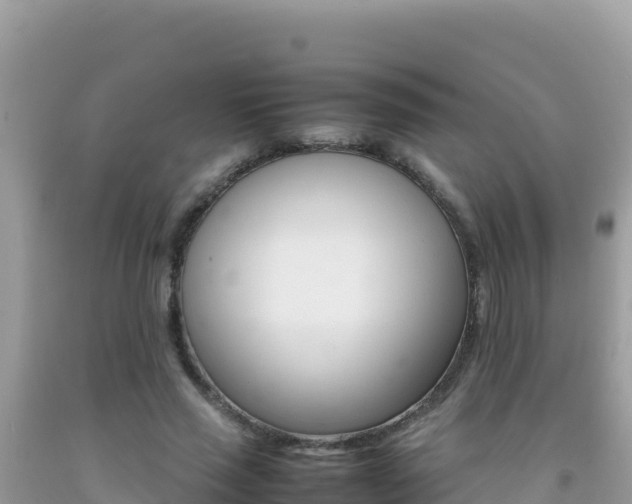 X0000092230637200709140942