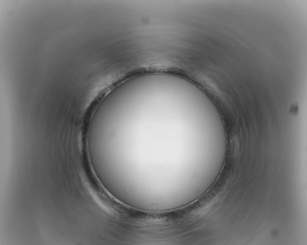 X0000092230638200709140942