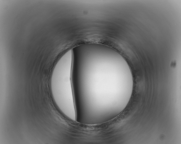 X0000092230641200709140942