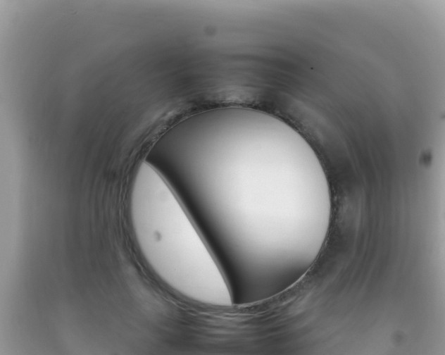 X0000092230643200709140942