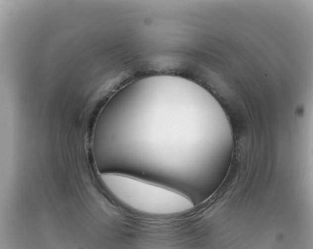 X0000092230644200709140942