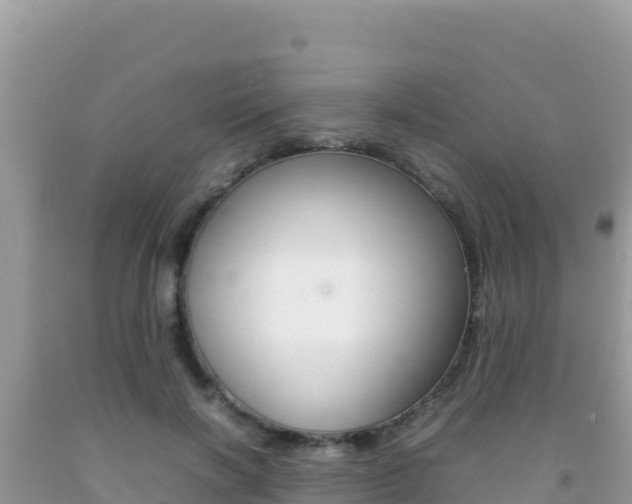 X0000092230646200709140942