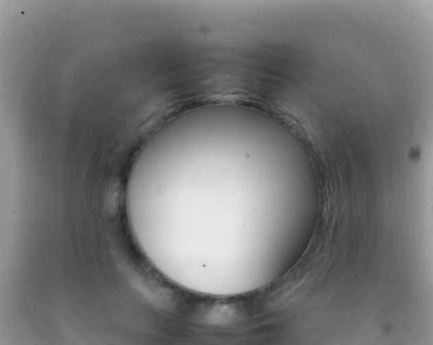 X0000092230647200709140942