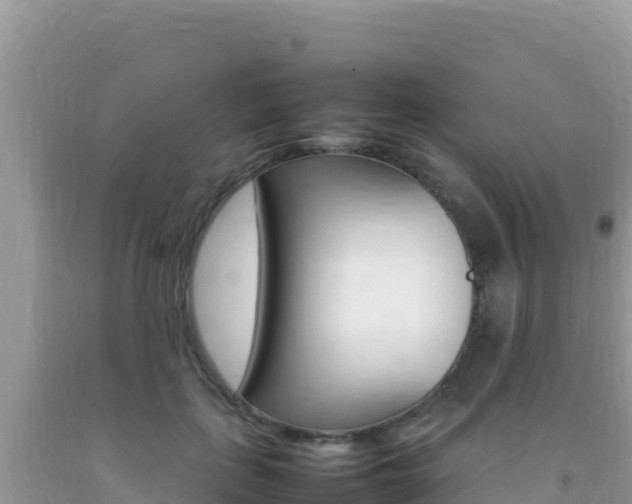 X0000092230651200709140942