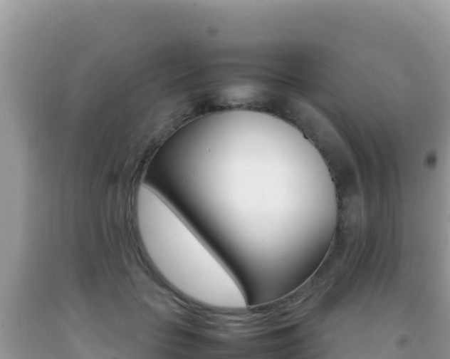 X0000092230653200709140942