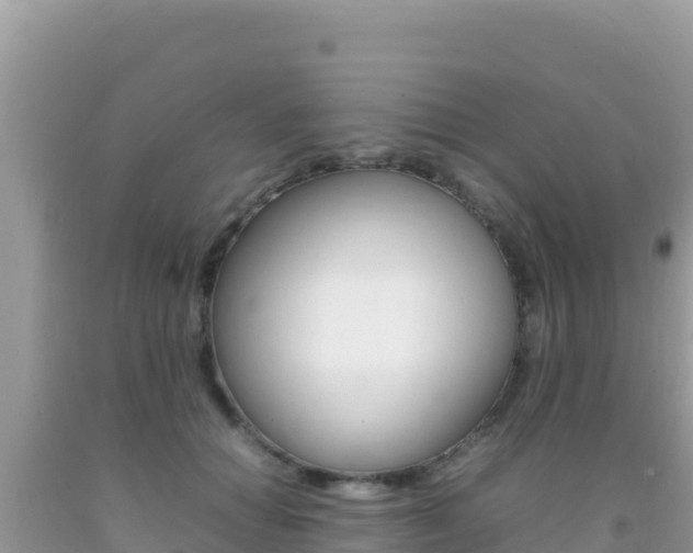 X0000092230654200709140942