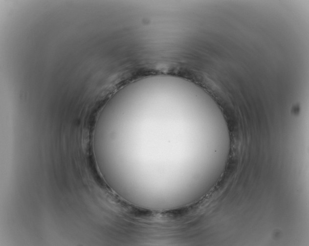 X0000092230656200709140943