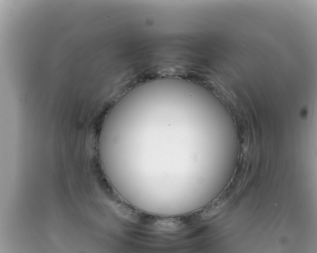 X0000092230659200709140943