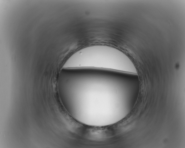X0000092230661200709140943