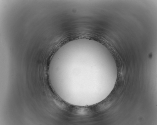 X0000092230663200709140943