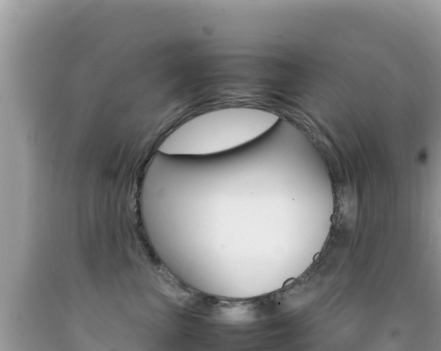 X0000092230667200709140943