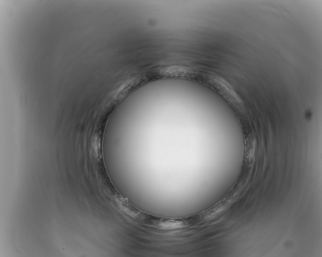 X0000092230669200709140943