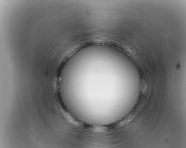 X0000092230670200709140943