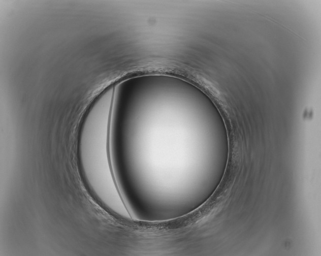 X0000092230673200709140942