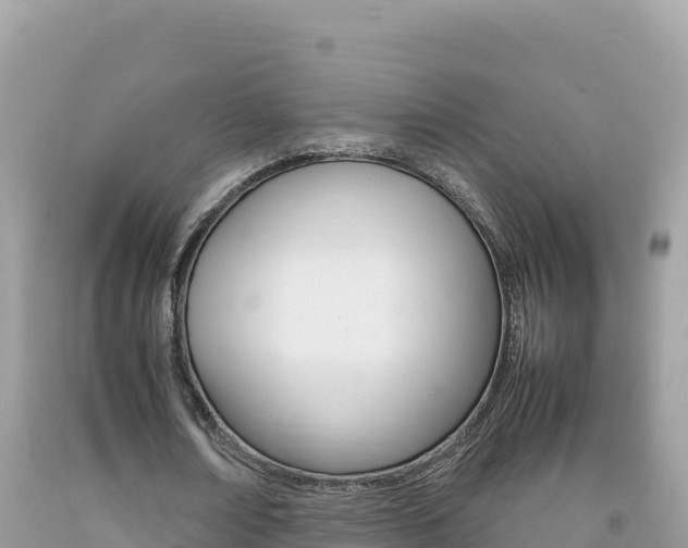 X0000092230674200709140942