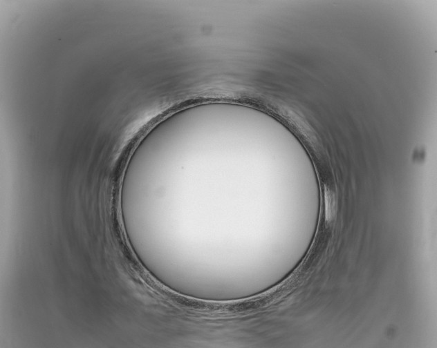X0000092230675200709140942