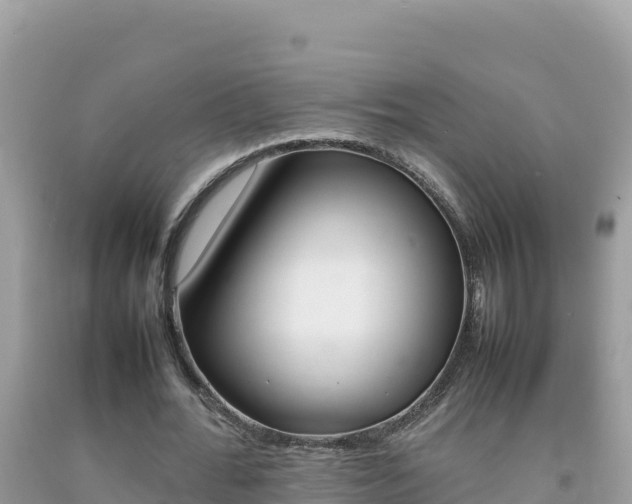 X0000092230676200709140942