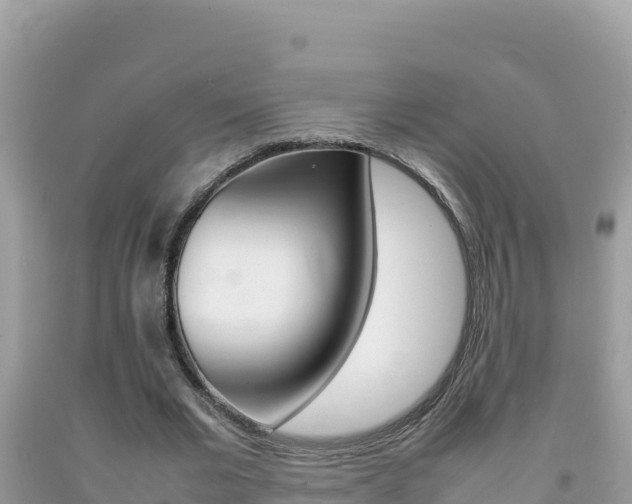 X0000092230677200709140942