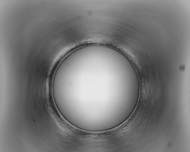 X0000092230678200709140942