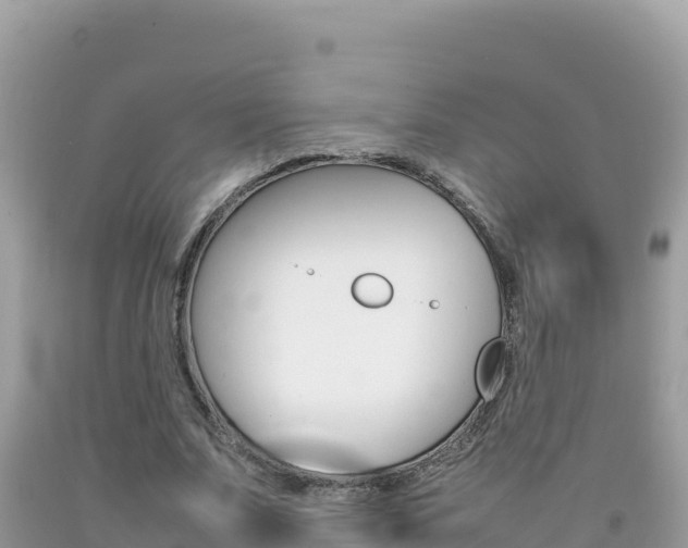 X0000092230679200709140942