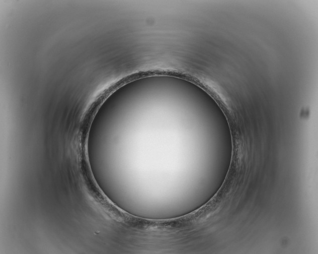 X0000092230680200709140942