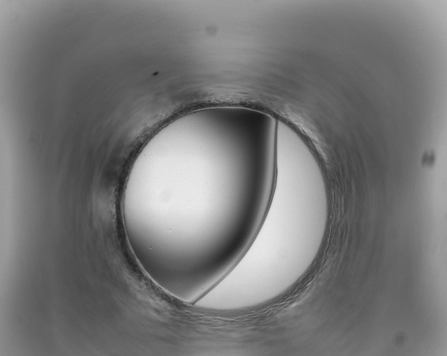 X0000092230681200709140942
