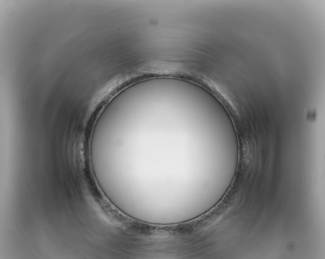X0000092230682200709140942