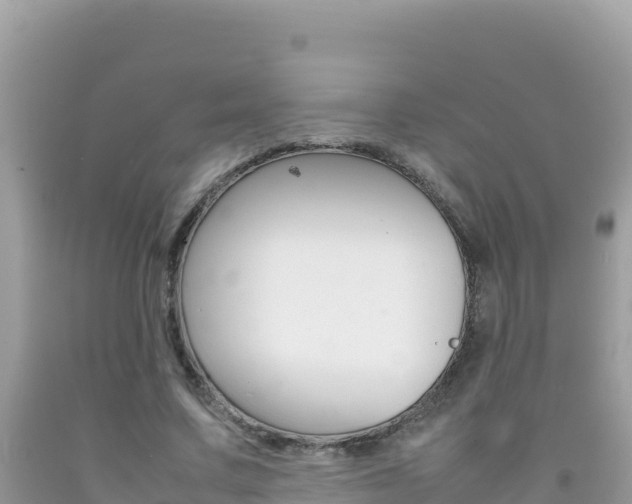 X0000092230683200709140942